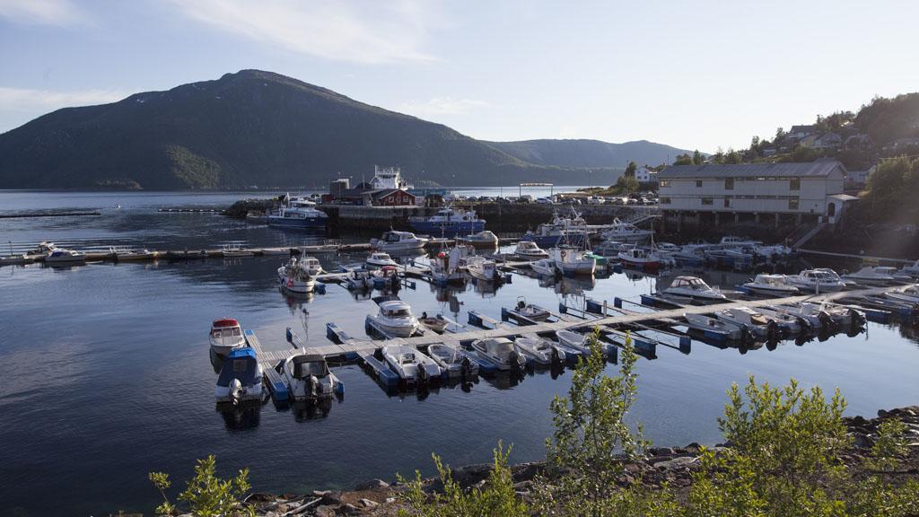 Stetind Hotel Kjøpsvik Exteriér fotografie